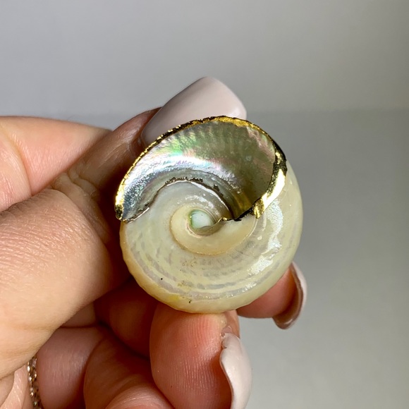 ⭐️Gold Plated Shell ⭐️ - Picture 8 of 8